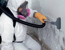 Best Mold Remediation for Healthcare Facilities  in Way, NE